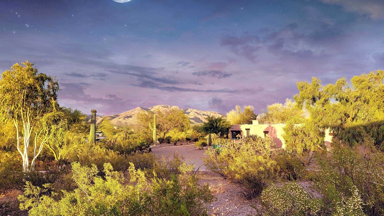 Photo of Outdoor in Telesis Estates