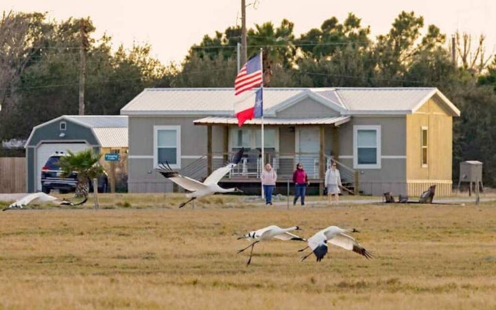Photo of Others in Rockport