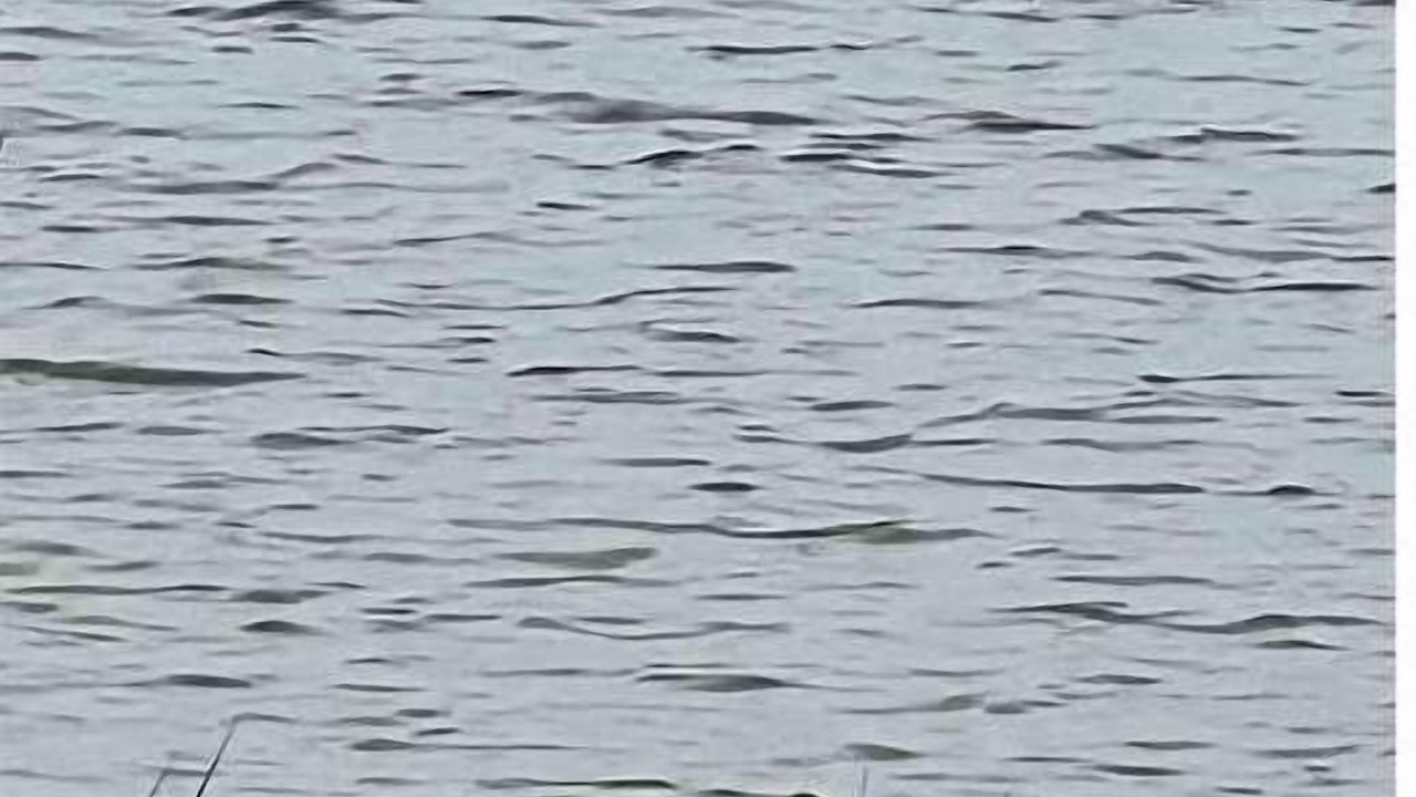 Photo of Others in Rockport