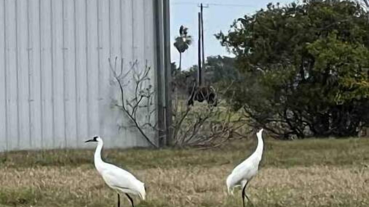 Photo of Others in Rockport