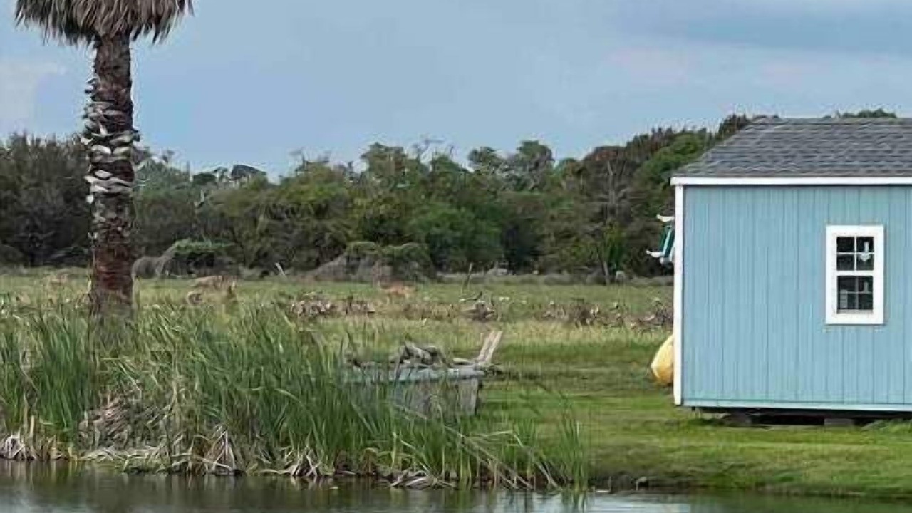 Photo of Others in Rockport