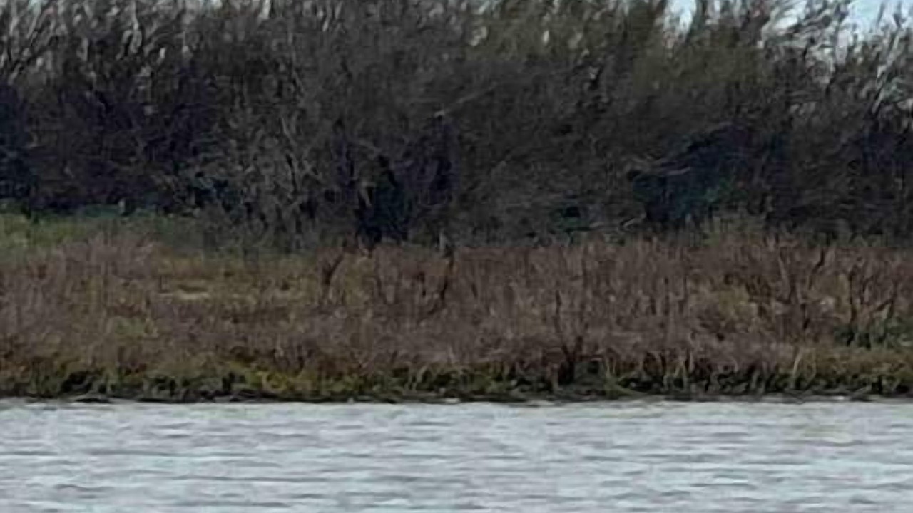 Photo of Others in Rockport