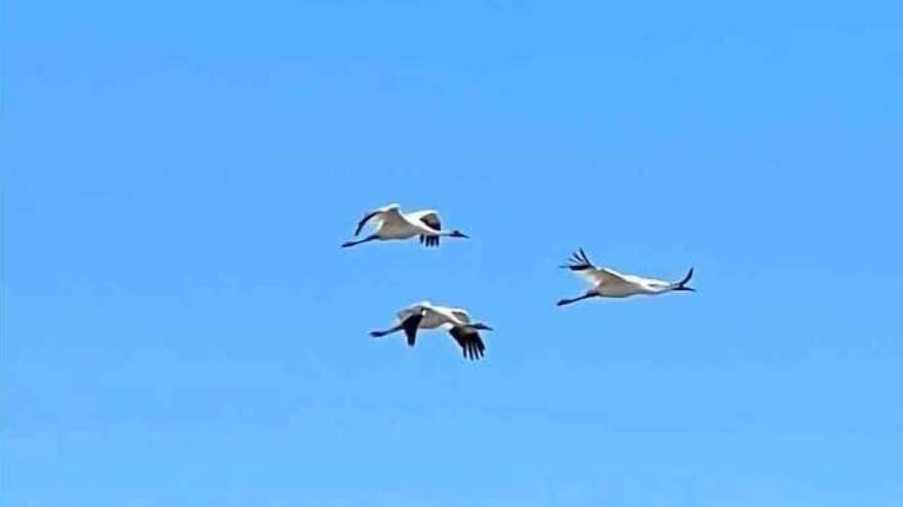 Photo of Others in Rockport