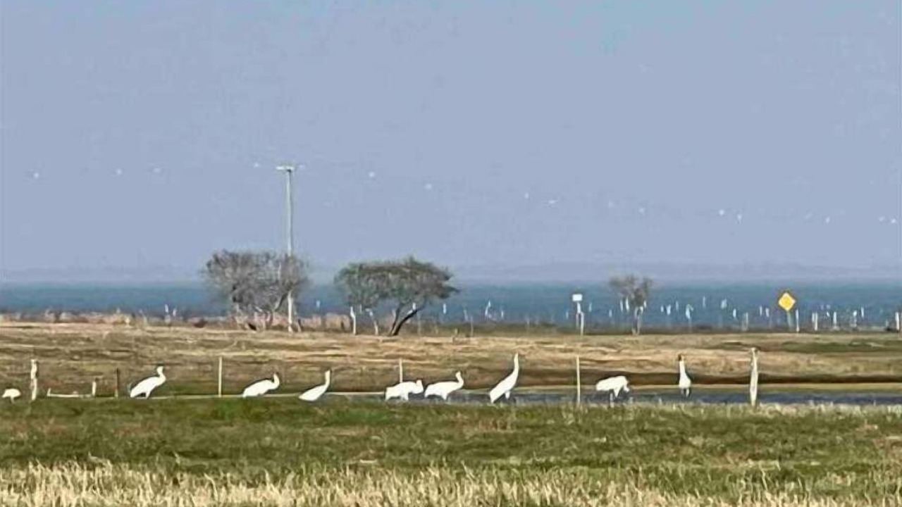 Photo of Others in Rockport