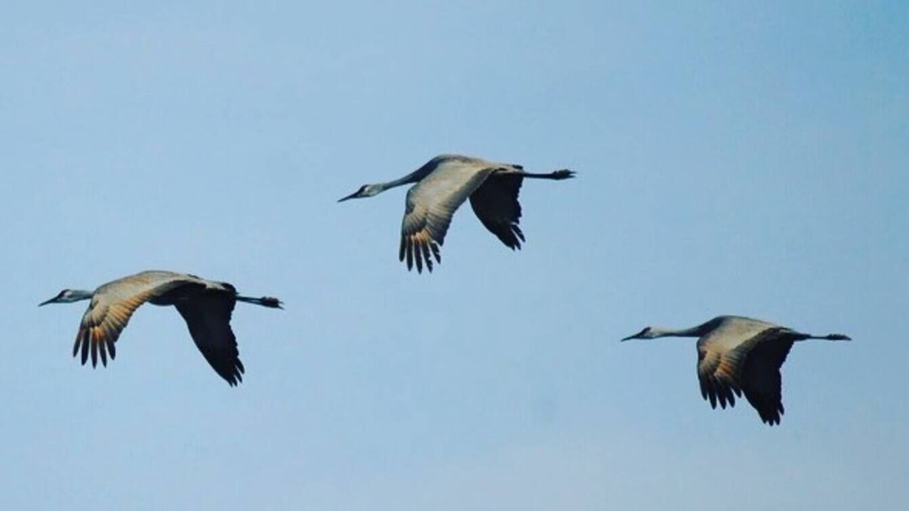 Photo of Others in Rockport