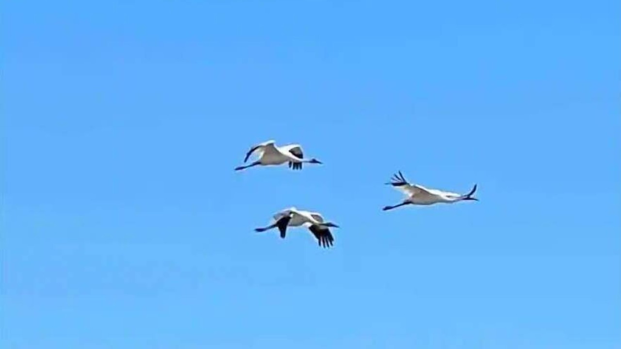 Photo of Others in Rockport