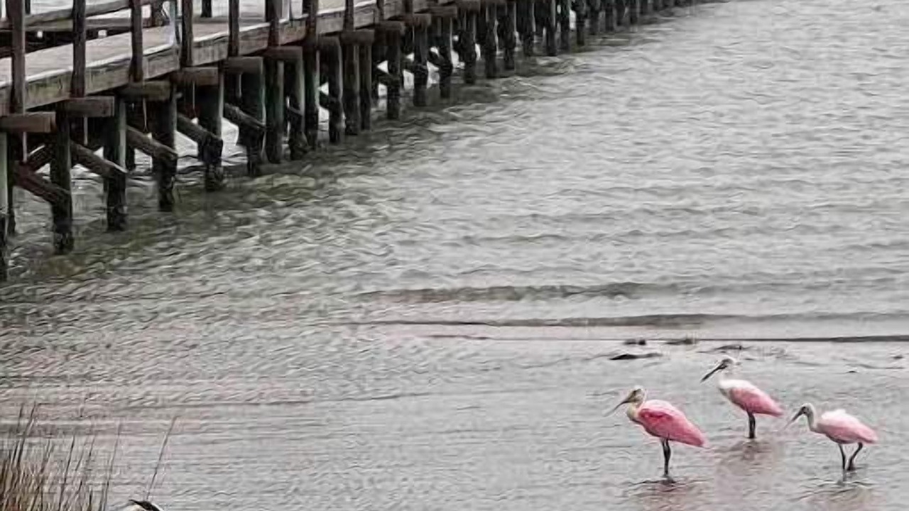 Photo of Others in Rockport