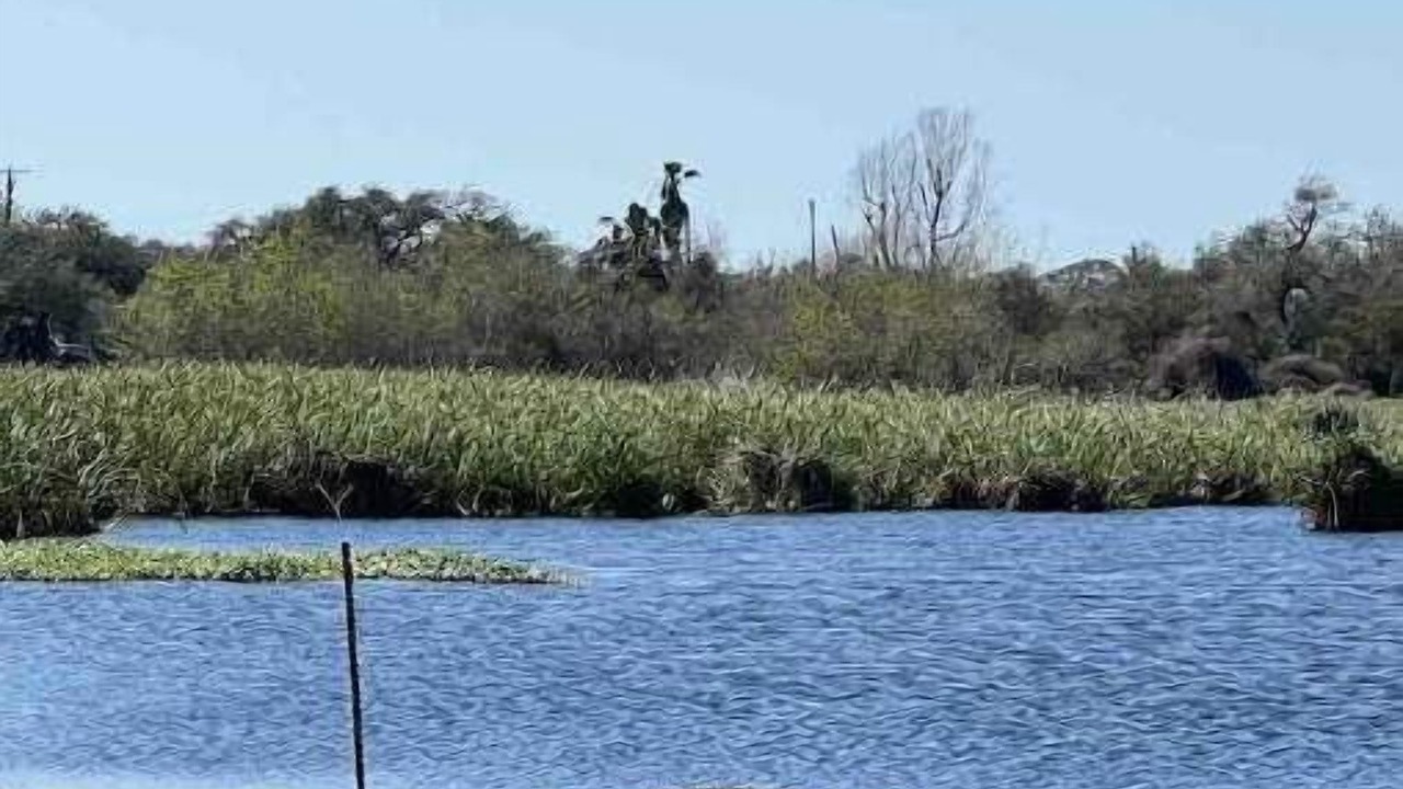 Photo of Others in Rockport