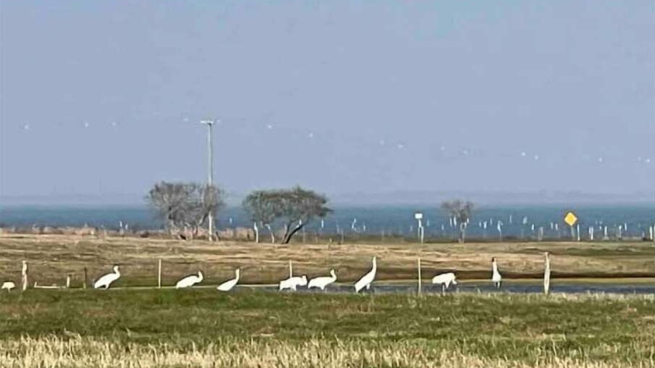 Photo of Others in Rockport