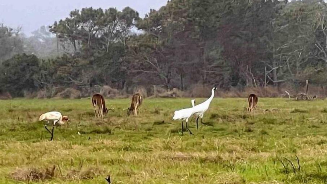 Photo of Outdoor in Rockport