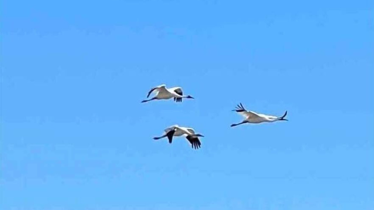 Photo of Others in Rockport