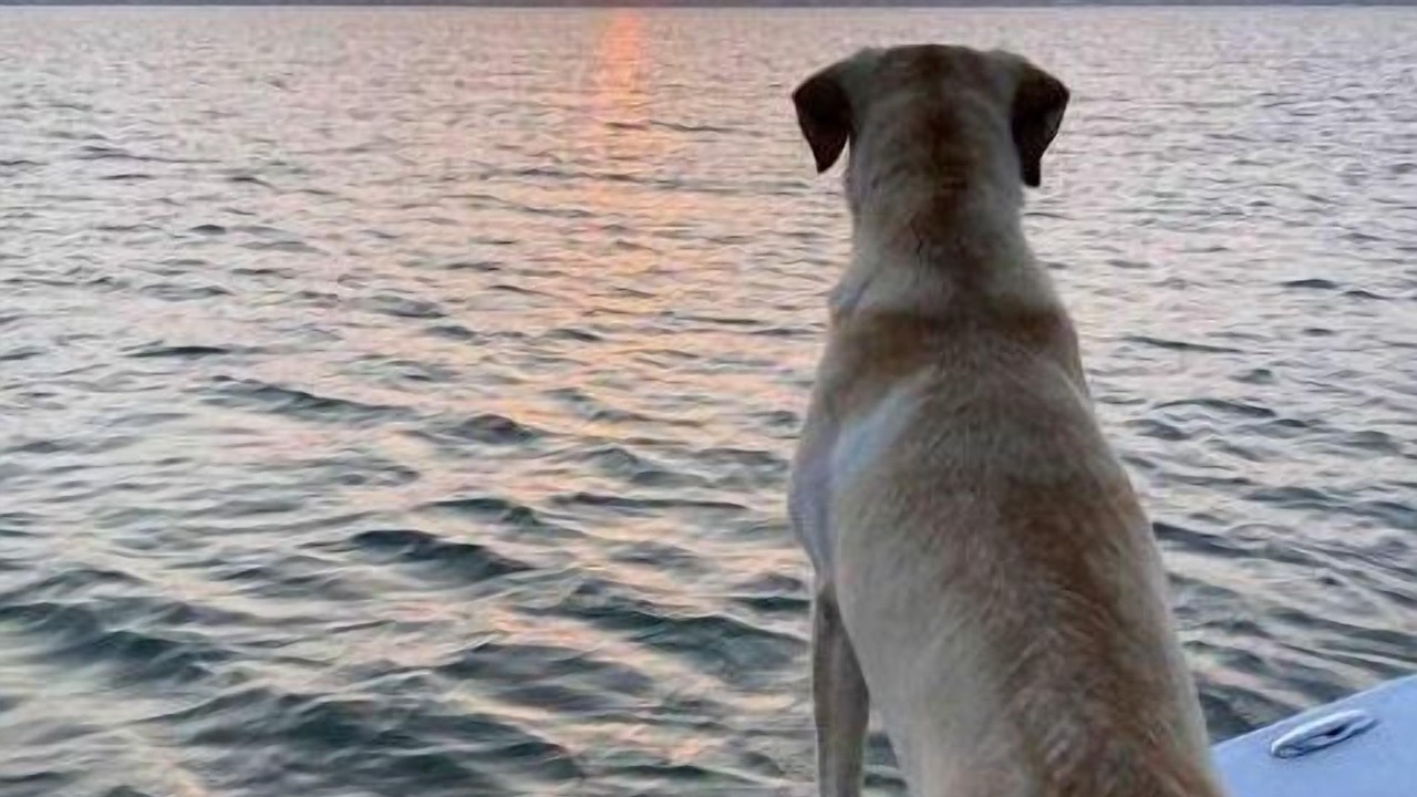 Photo of Others in Rockport