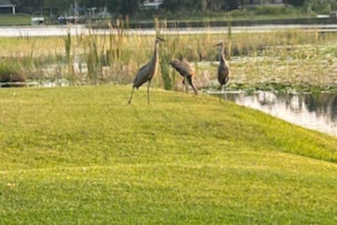 Photo of Others in Hernando