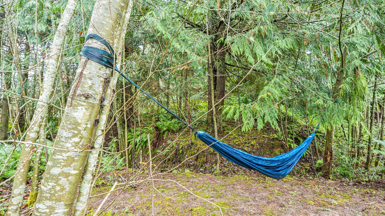 Photo of Others in Port Angeles