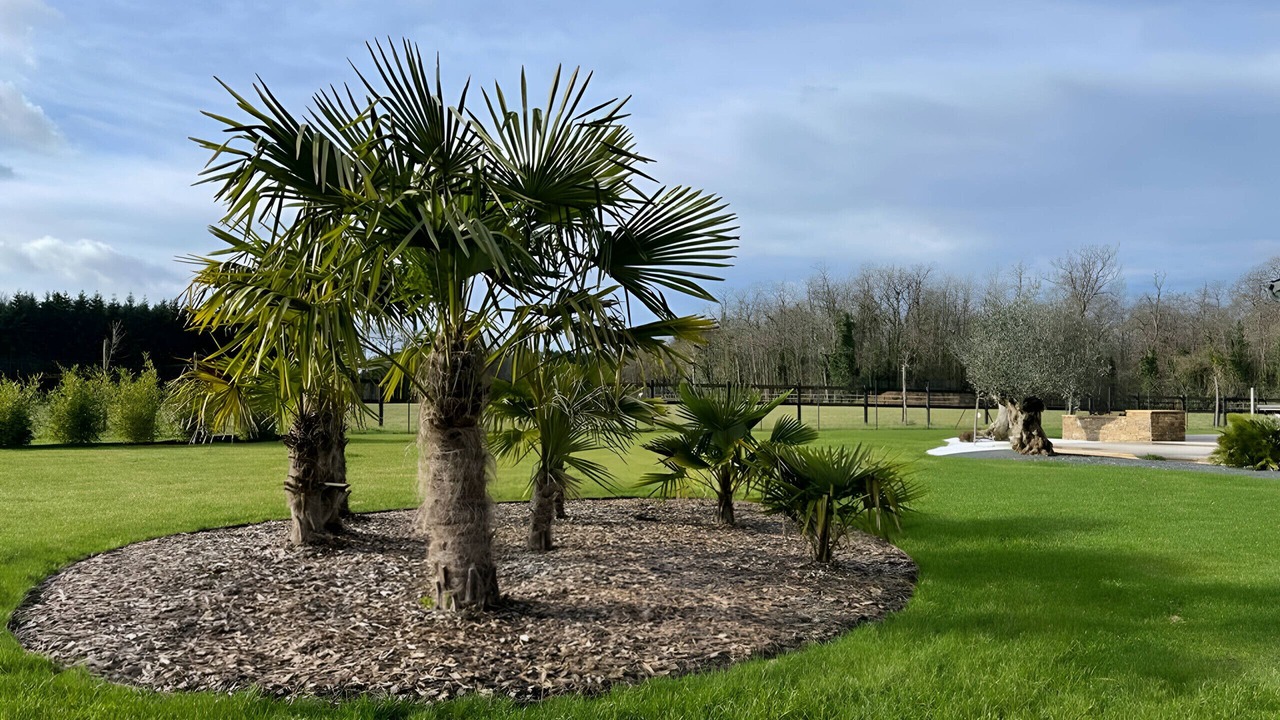 Photo of Outdoor in Saint-Corneille