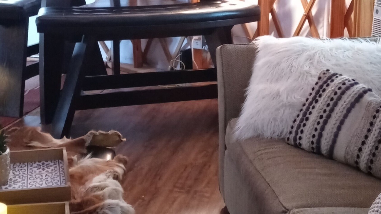 Photo of Livingroom in Cross Plains