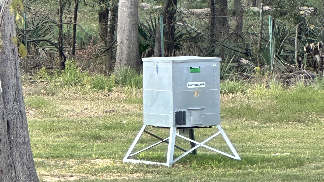 Photo of Outdoor in Trinity