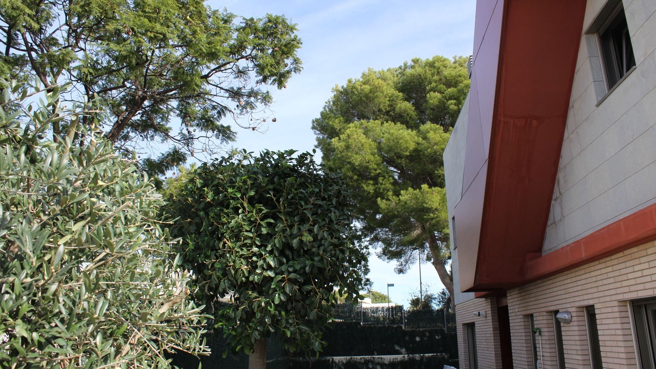 Photo of Outdoor in Cambrils
