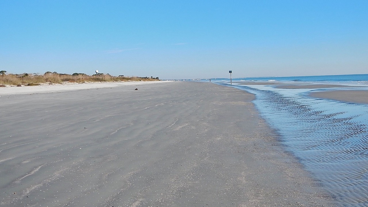 Photo of Others in Jekyll Island