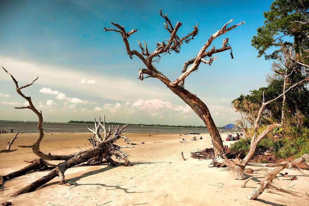 Photo of Others in Jekyll Island