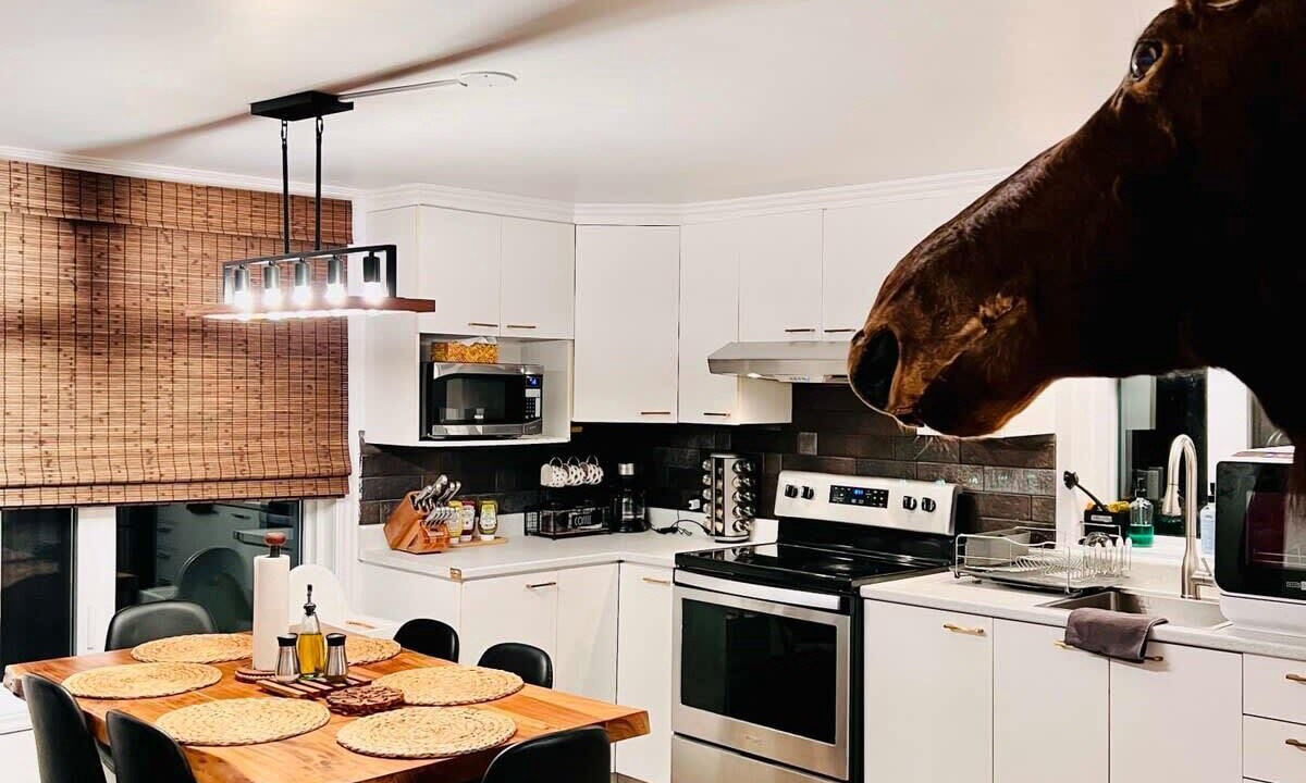 Photo of Kitchen in Saint-Leon-de-Standon