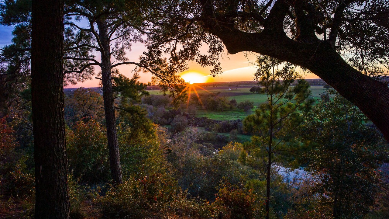 Photo of Outdoor in La Grange