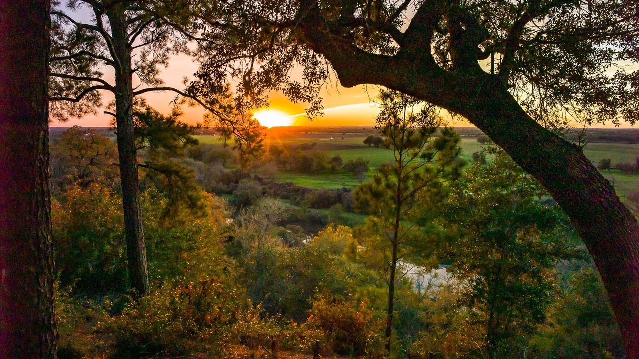 Photo of Outdoor in La Grange