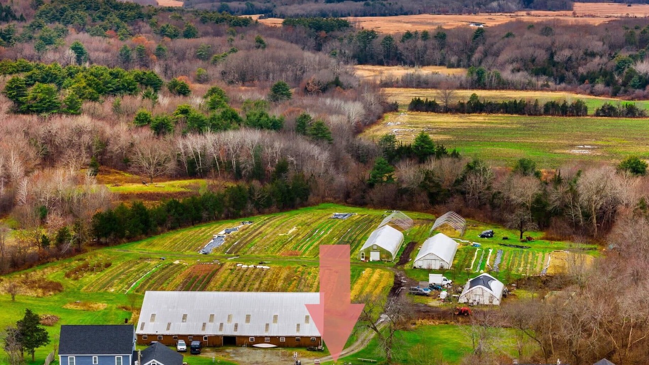 Photo of Others in Newbury