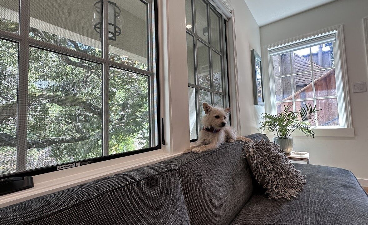 Photo of Others in Glenview