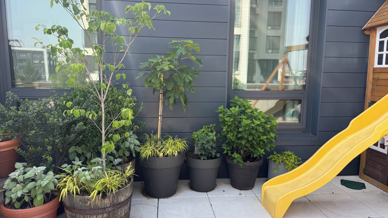 Photo of Others in Williamsburg