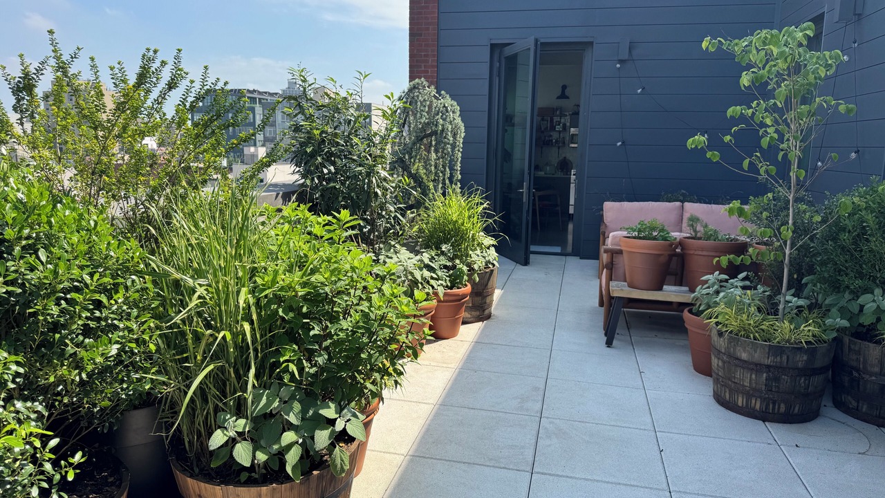 Photo of Patio Balcony in Williamsburg