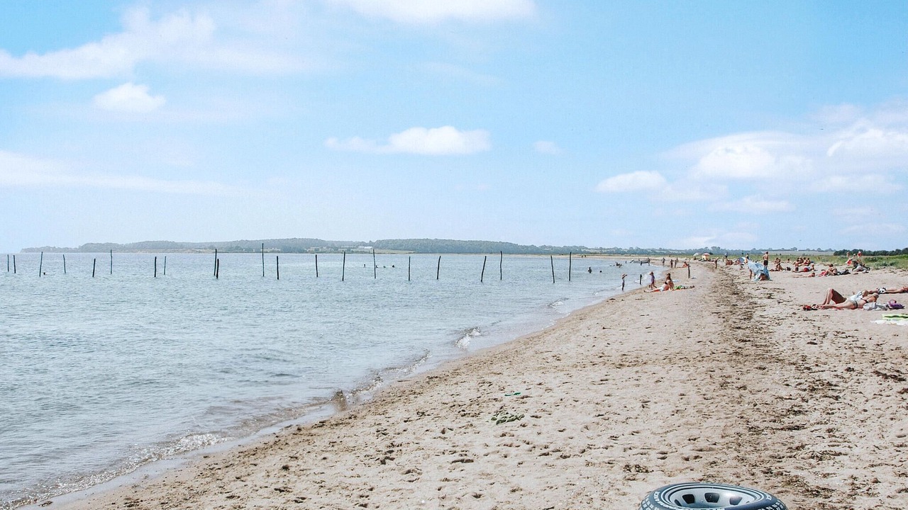 Photo of Others in Flovt Strand