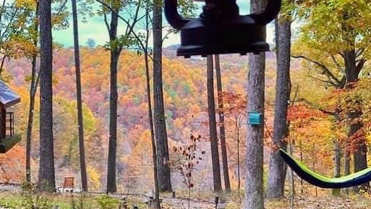 Photo of Others in Eureka Springs