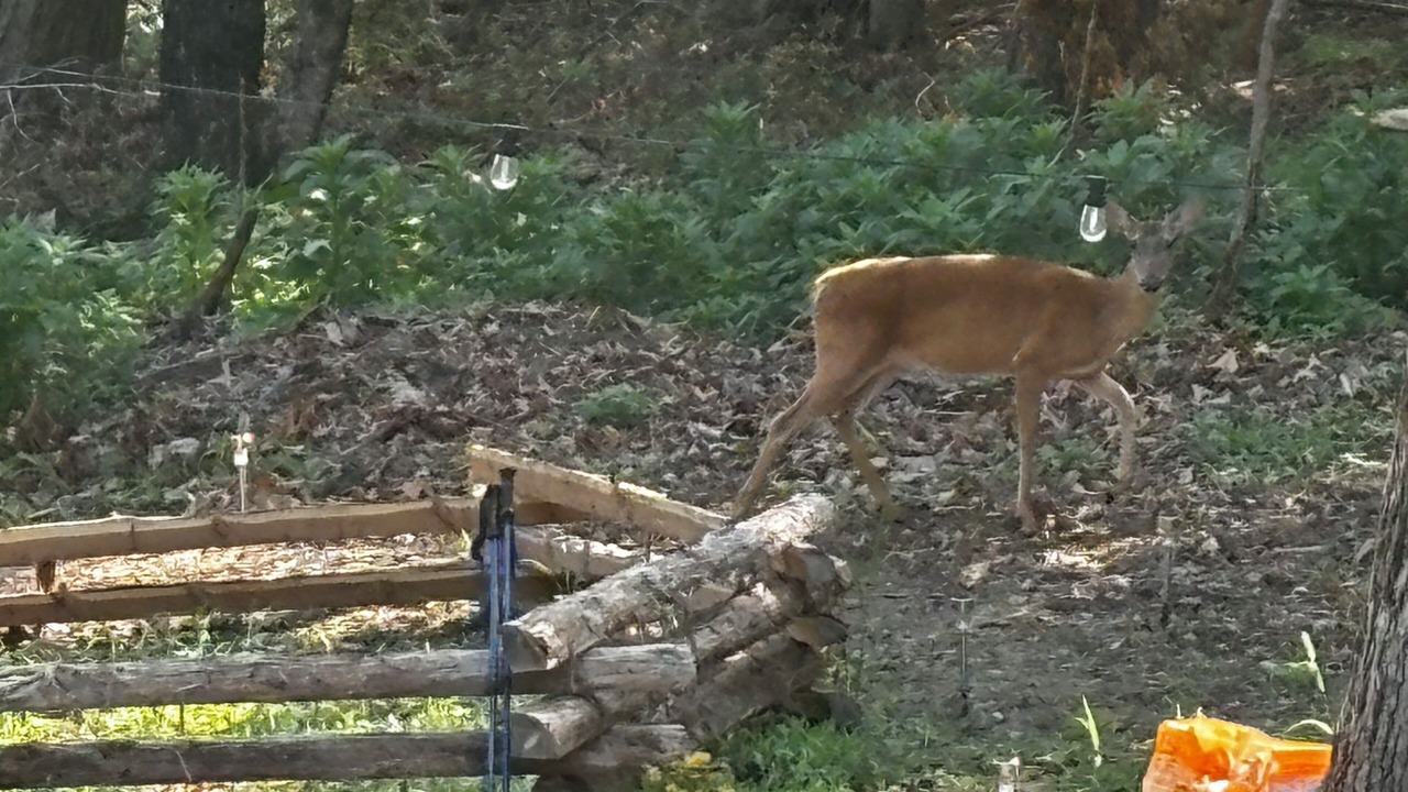 Photo of Others in Eureka Springs