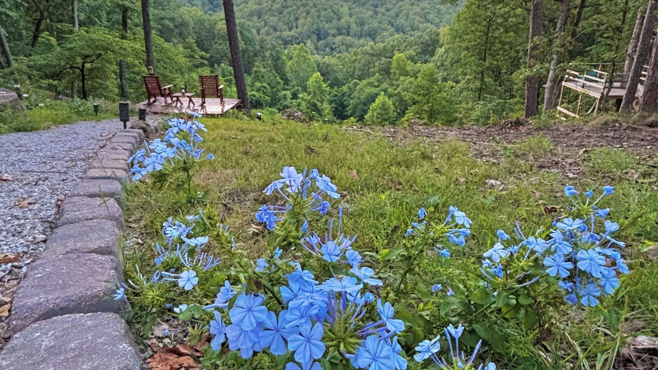 Photo of Outdoor in Eureka Springs