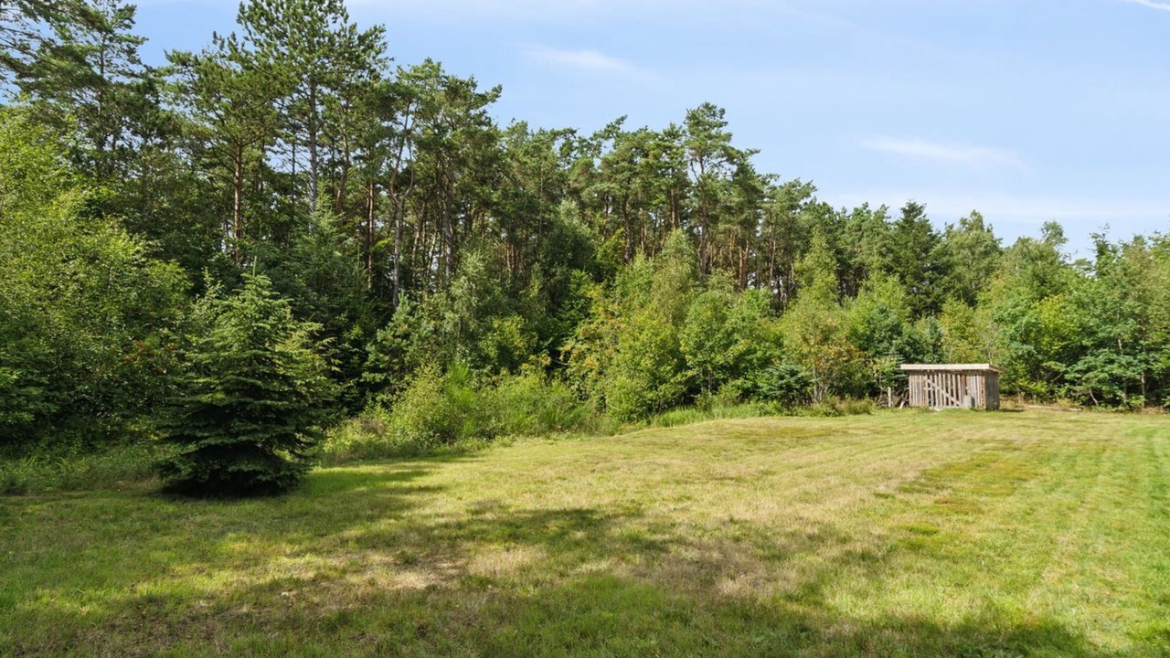 Photo of Others in Nordost