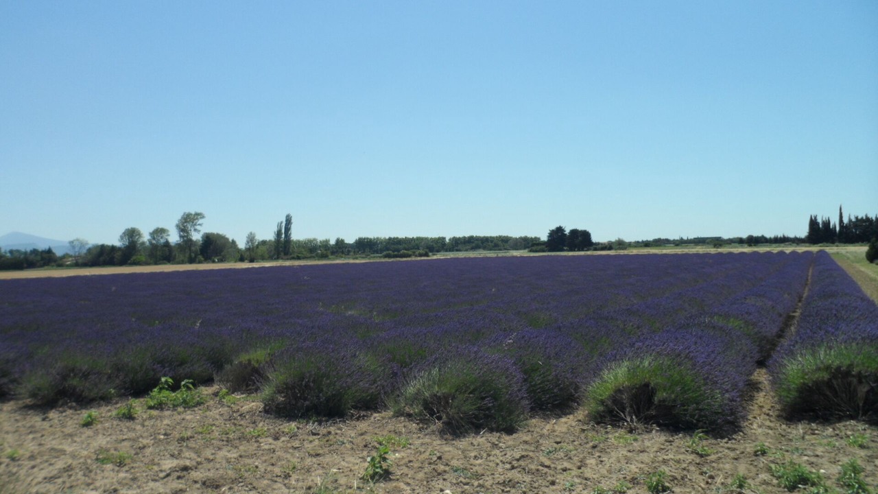 Photo of Outdoor in Uchaux