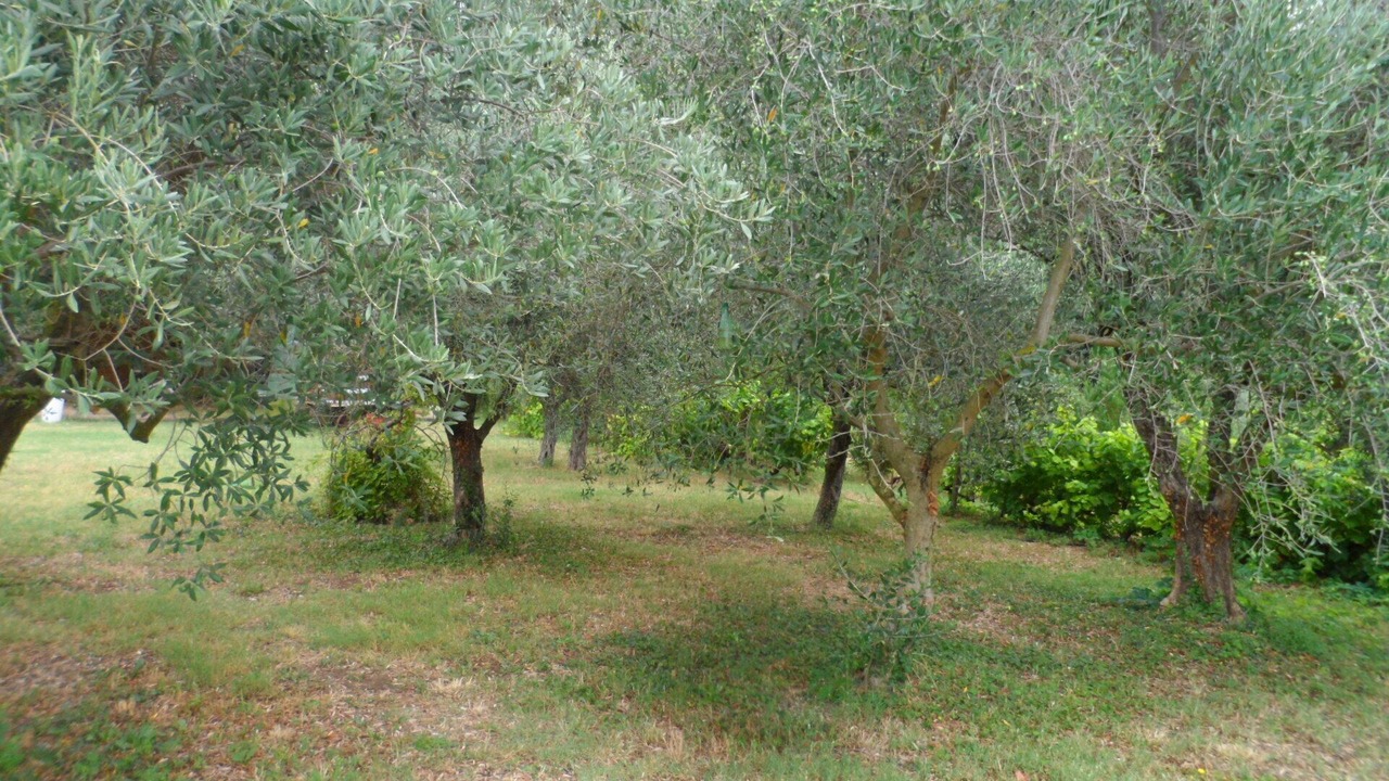 Photo of Outdoor in Uchaux