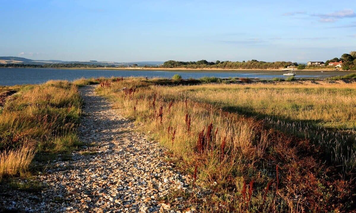 Photo of Others in West Wittering