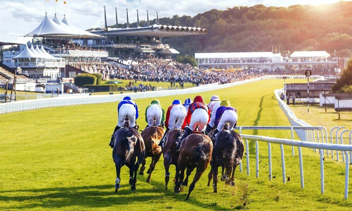 Photo of Others in Funtington