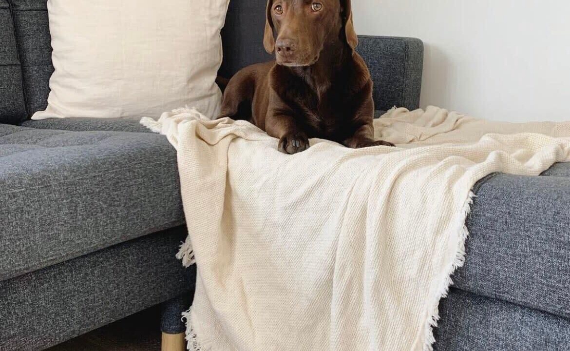 Photo of Others in Funtington