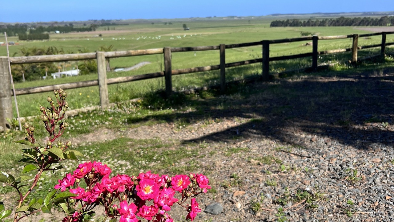 Photo of Outdoor in Kaitaia