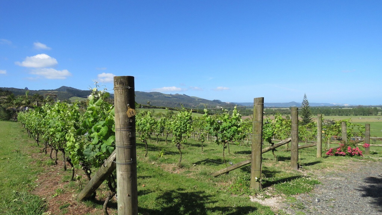 Photo of Outdoor in Kaitaia