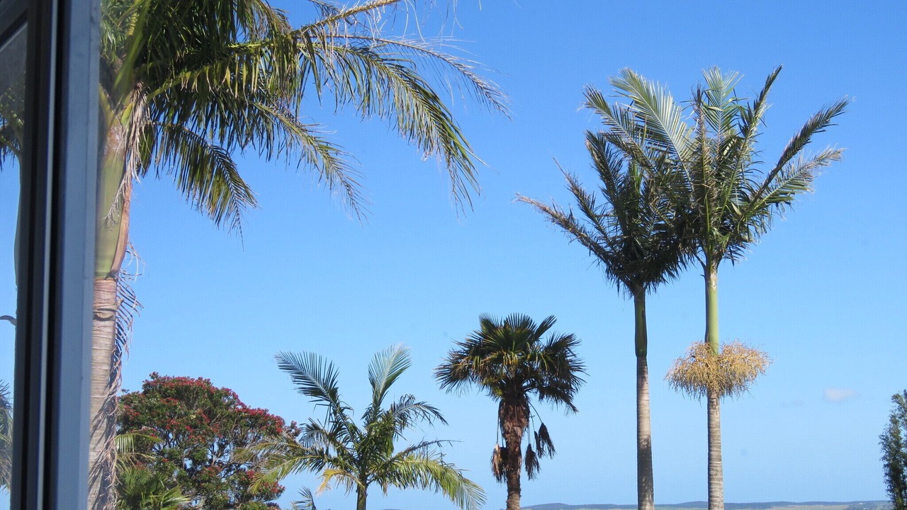 Photo of Others in Kaitaia