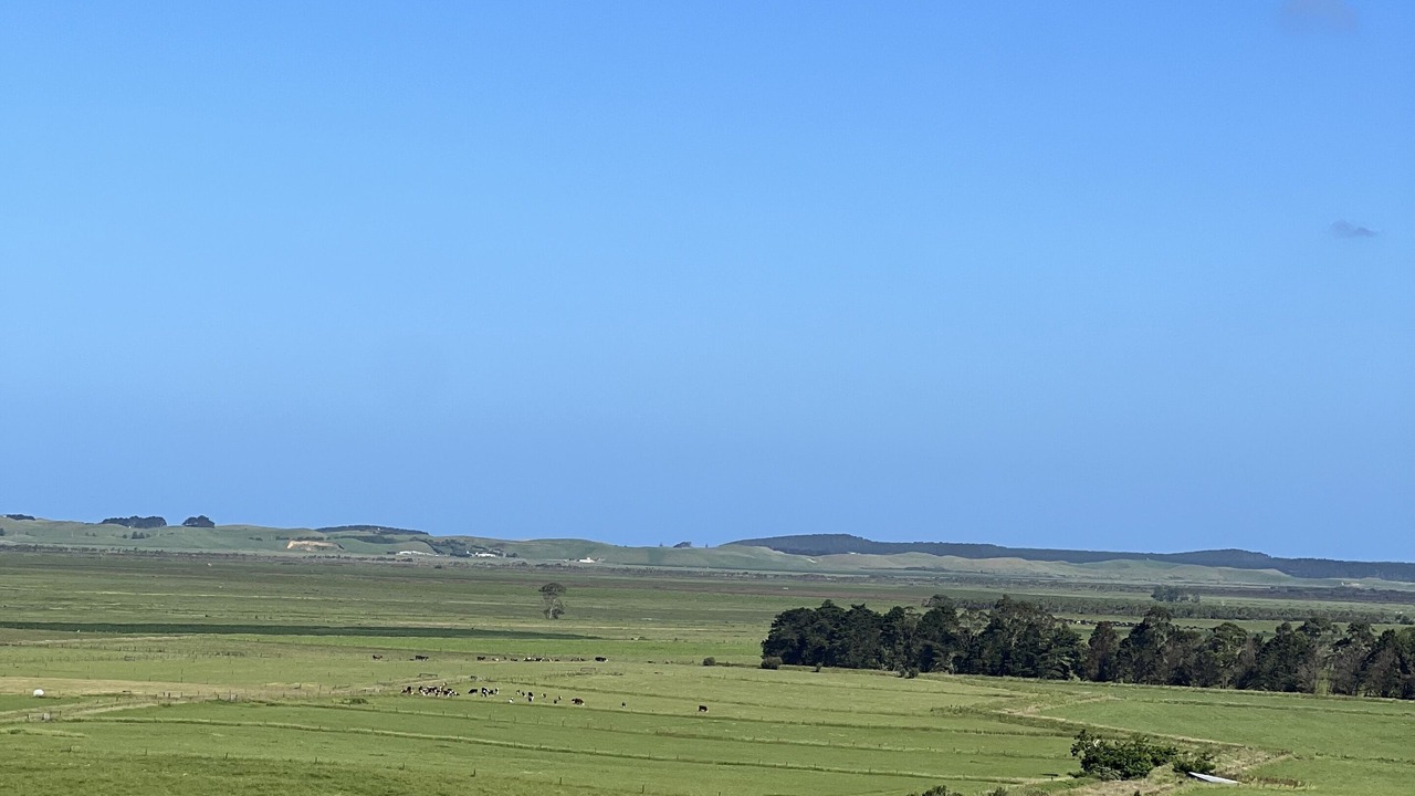 Photo of Others in Kaitaia