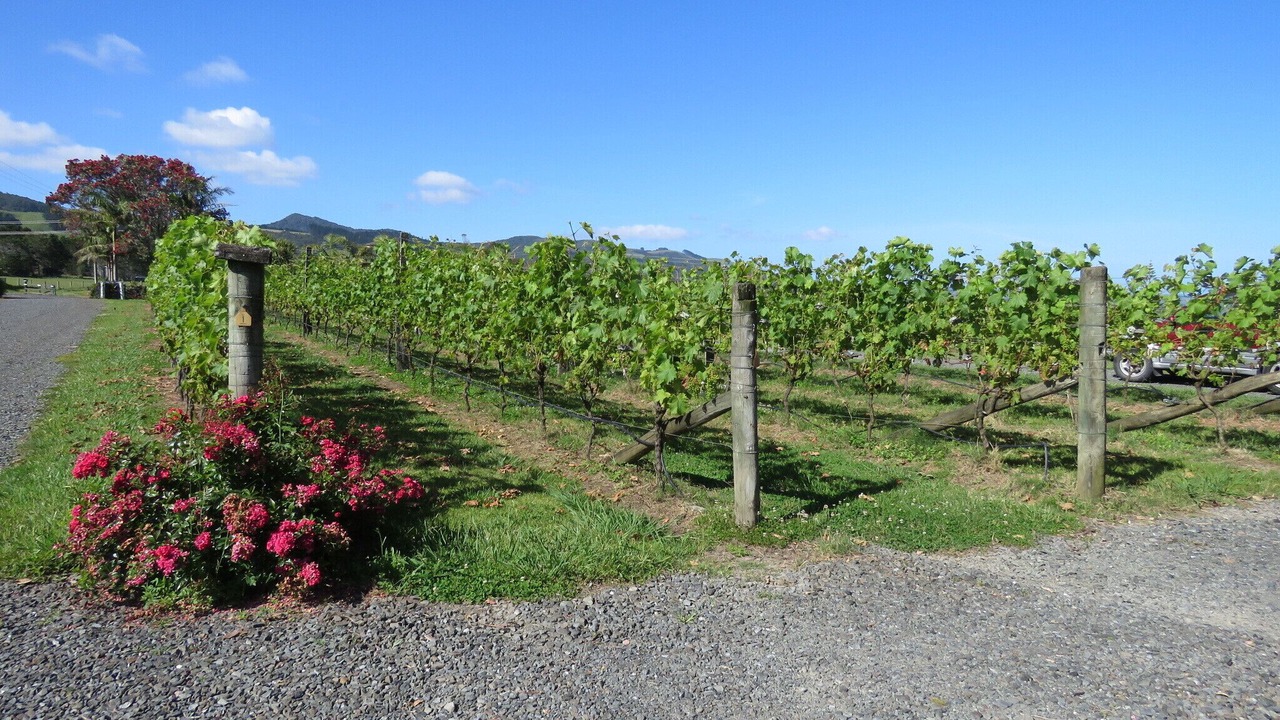 Photo of Outdoor in Kaitaia