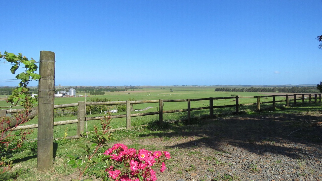 Photo of Outdoor in Kaitaia