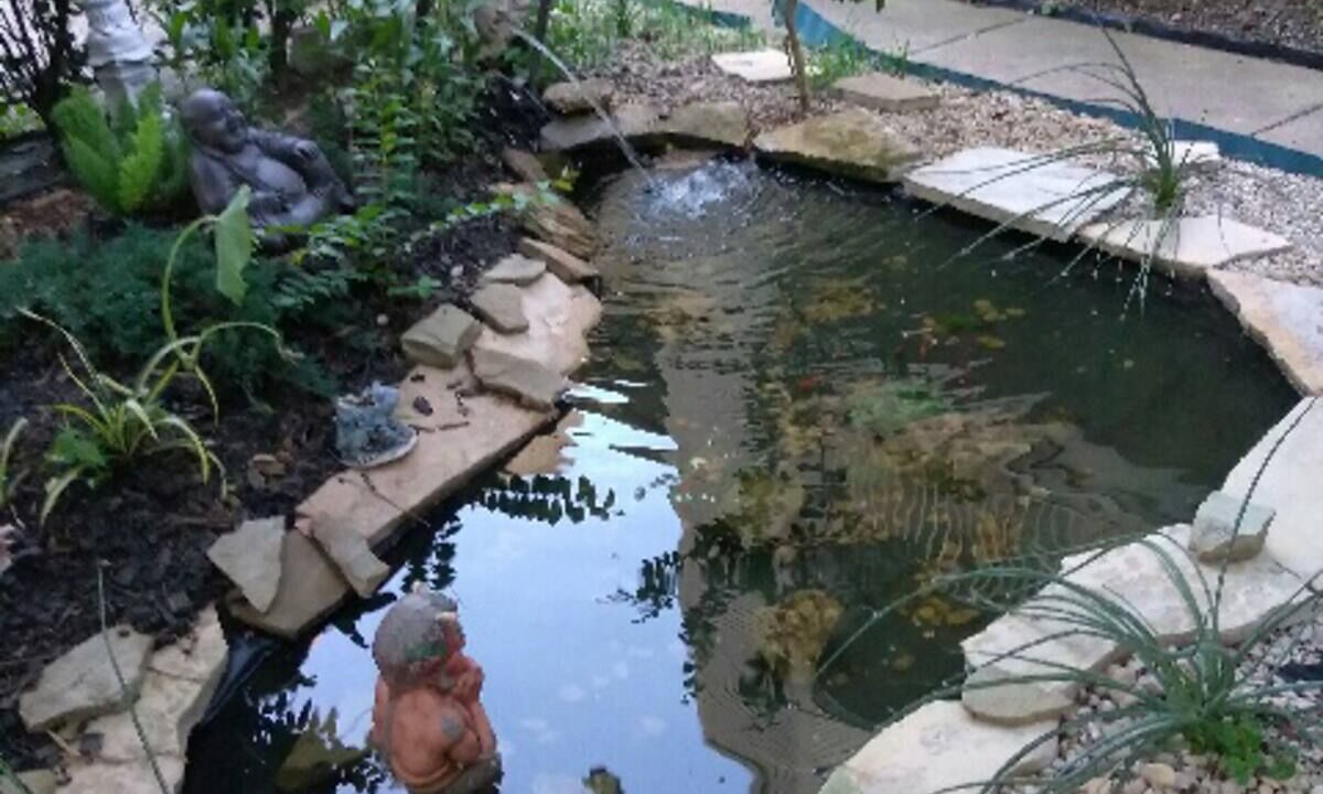 Photo of Outdoor in Irving