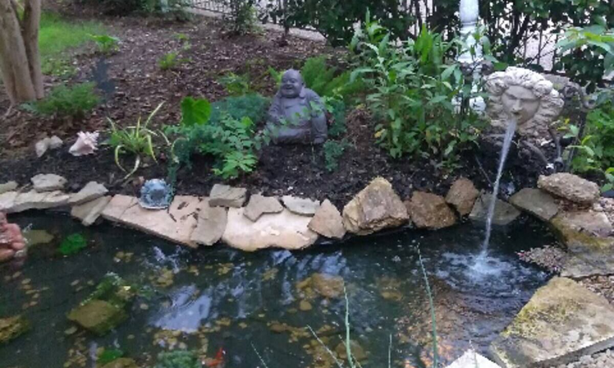 Photo of Outdoor in Irving