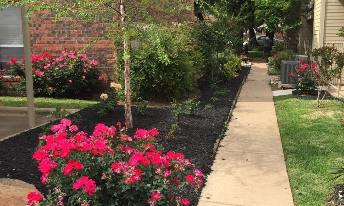 Photo of Outdoor in Irving